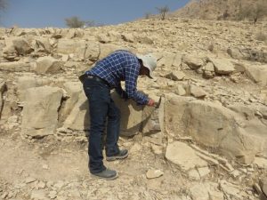 نتایج امیدبخش فاز مطالعاتی اکتشاف عناصر خاکی کمیاب در استان فارس
