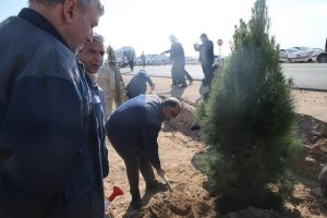 مدیرعامل شرکت سنگ آهن مرکزی ایران در حاشیه مراسم درختکاری